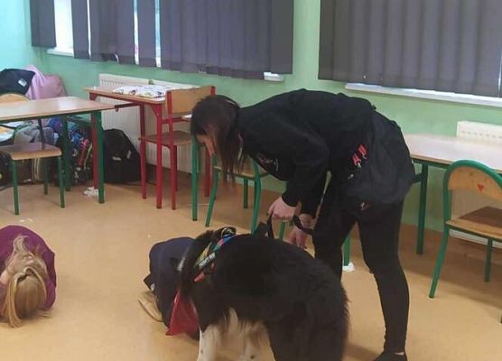 Grafika 30: Warsztaty edukacyjne dla klas I-III z psem Chilli na temat prawidłowego postępowania z czworonogami