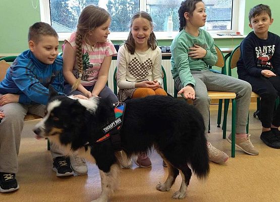 Grafika 33: Warsztaty edukacyjne dla klas I-III z psem Chilli na temat prawidłowego postępowania z czworonogami