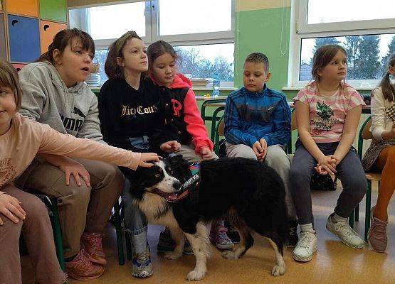 Grafika 34: Warsztaty edukacyjne dla klas I-III z psem Chilli na temat prawidłowego postępowania z czworonogami