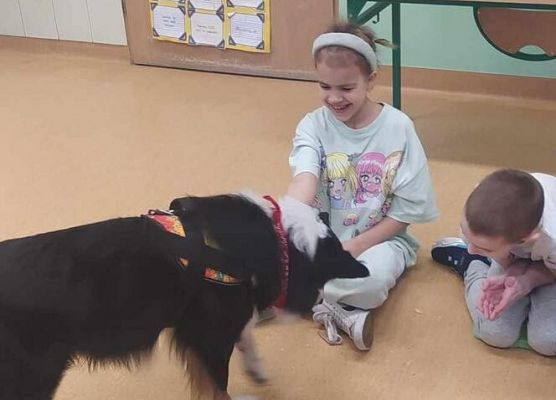 Grafika 35: Warsztaty edukacyjne dla klas I-III z psem Chilli na temat prawidłowego postępowania z czworonogami