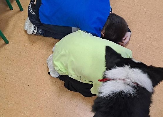 Grafika 40: Warsztaty edukacyjne dla klas I-III z psem Chilli na temat prawidłowego postępowania z czworonogami
