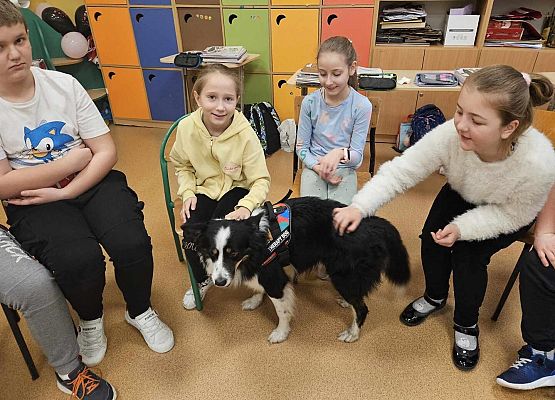 Grafika 41: Warsztaty edukacyjne dla klas I-III z psem Chilli na temat prawidłowego postępowania z czworonogami