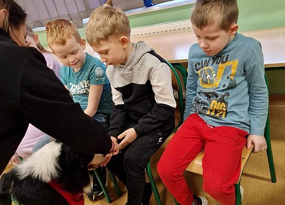 Grafika 42: Warsztaty edukacyjne dla klas I-III z psem Chilli na temat prawidłowego postępowania z czworonogami