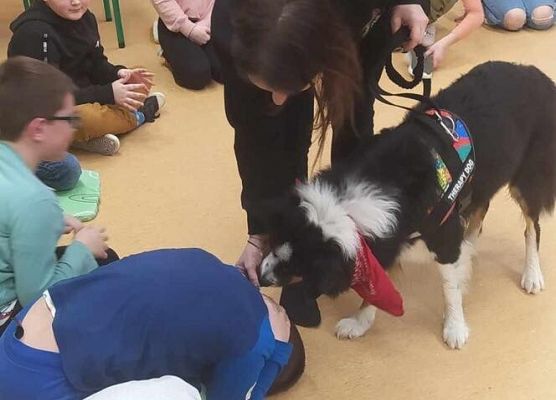 Grafika 44: Warsztaty edukacyjne dla klas I-III z psem Chilli na temat prawidłowego postępowania z czworonogami