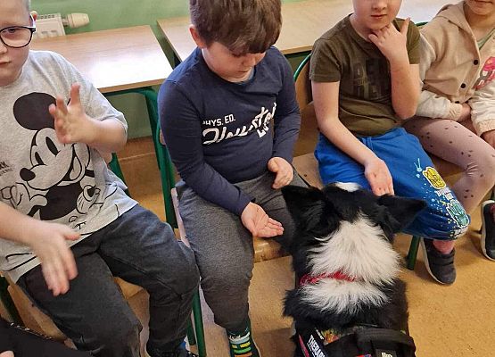 Grafika 45: Warsztaty edukacyjne dla klas I-III z psem Chilli na temat prawidłowego postępowania z czworonogami