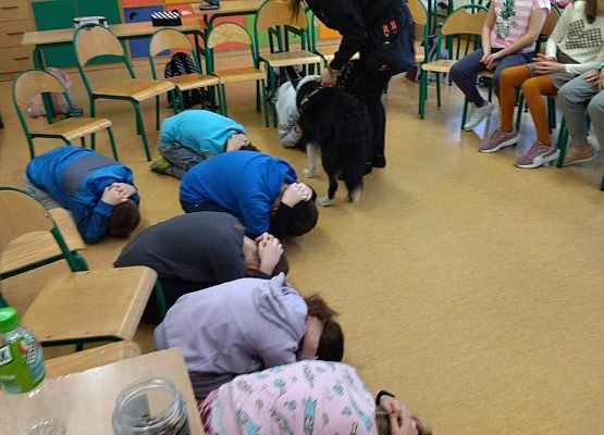 Grafika 46: Warsztaty edukacyjne dla klas I-III z psem Chilli na temat prawidłowego postępowania z czworonogami