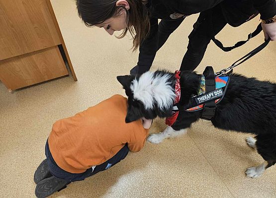 Grafika 47: Warsztaty edukacyjne dla klas I-III z psem Chilli na temat prawidłowego postępowania z czworonogami