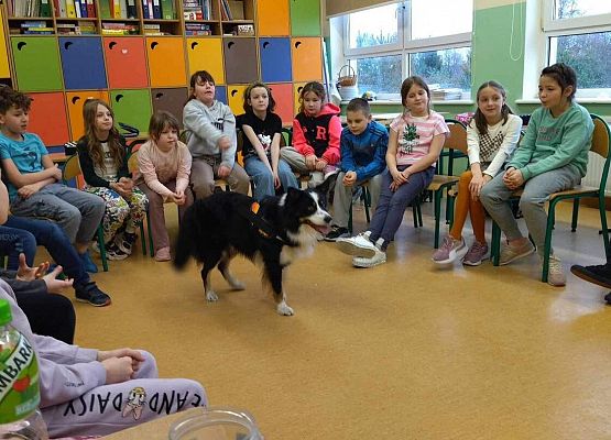 Grafika 48: Warsztaty edukacyjne dla klas I-III z psem Chilli na temat prawidłowego postępowania z czworonogami