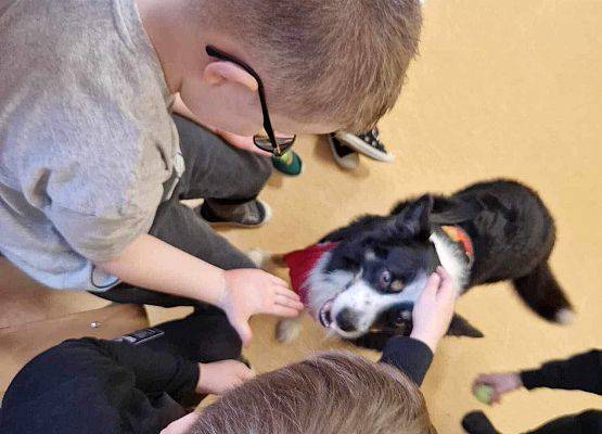 Grafika 49: Warsztaty edukacyjne dla klas I-III z psem Chilli na temat prawidłowego postępowania z czworonogami