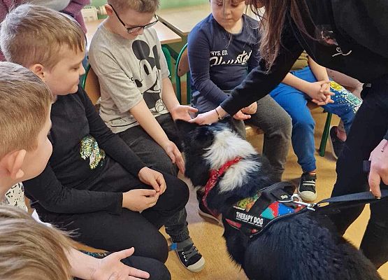 Grafika 51: Warsztaty edukacyjne dla klas I-III z psem Chilli na temat prawidłowego postępowania z czworonogami