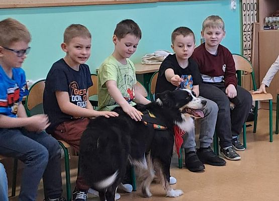 Grafika 55: Warsztaty edukacyjne dla klas I-III z psem Chilli na temat prawidłowego postępowania z czworonogami