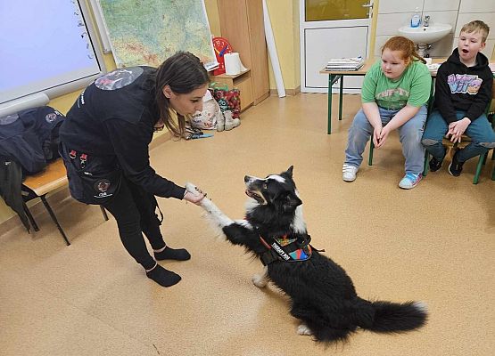 Grafika 56: Warsztaty edukacyjne dla klas I-III z psem Chilli na temat prawidłowego postępowania z czworonogami