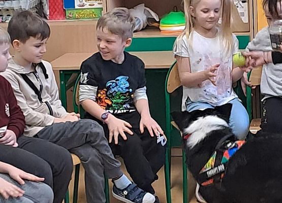 Grafika 57: Warsztaty edukacyjne dla klas I-III z psem Chilli na temat prawidłowego postępowania z czworonogami