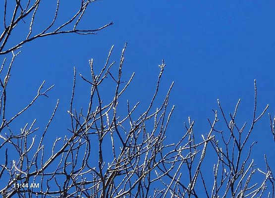 Grafika 5: IB na spacerze w poszukiwaniu wiosny