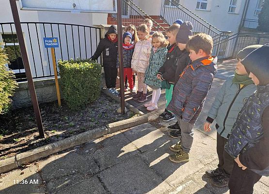 Grafika 7: IB na spacerze w poszukiwaniu wiosny