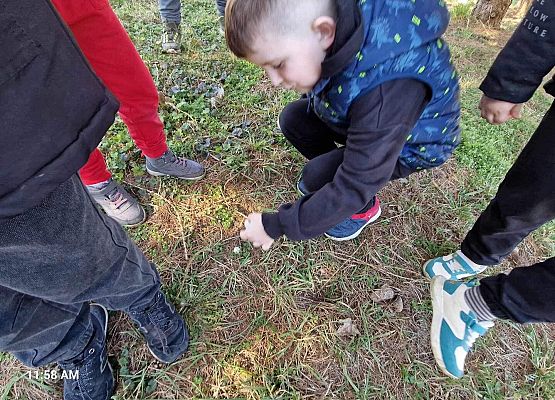 Grafika 15: IB na spacerze w poszukiwaniu wiosny