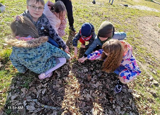 Grafika 17: IB na spacerze w poszukiwaniu wiosny