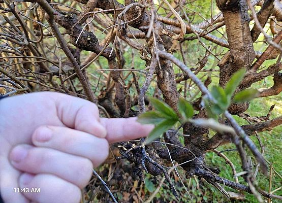 Grafika 18: IB na spacerze w poszukiwaniu wiosny