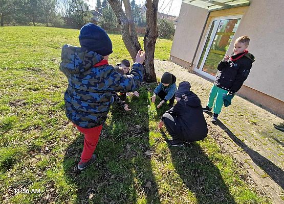Grafika 19: IB na spacerze w poszukiwaniu wiosny
