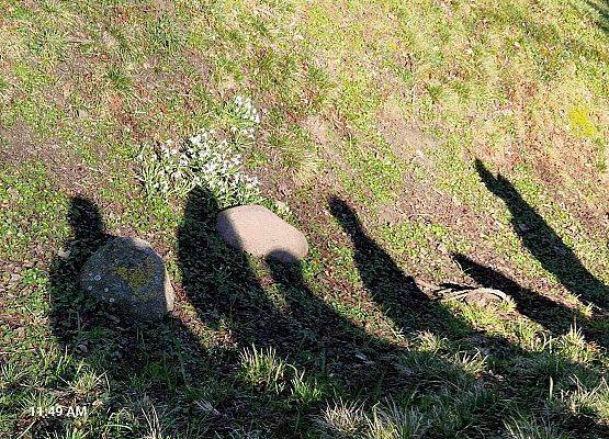 Grafika 20: IB na spacerze w poszukiwaniu wiosny