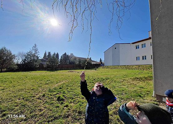 Grafika 21: IB na spacerze w poszukiwaniu wiosny