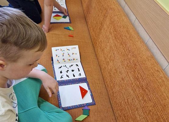 Grafika 17: Obchody Dnia Matematyki