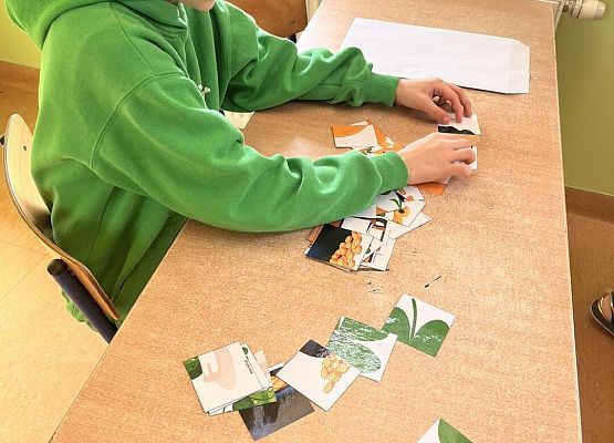 Grafika 6: Happy St. Patrick’s Day