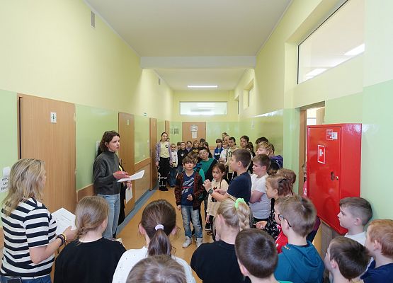 Grafika 2: Międzynarodowy Konkurs Matematyczny „Kangur 2024”