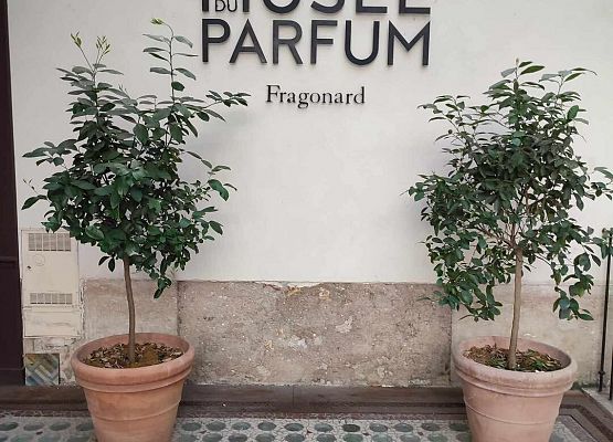 Grafika 15: Siódmoklasiści w Paryżu - dzień drugi