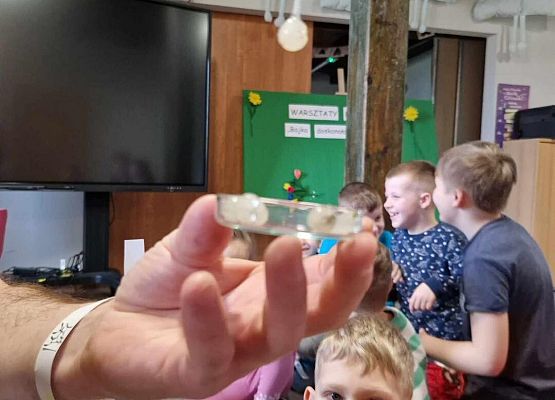 Grafika 4: Nasi uczniowie wzięli udział w przyrodniczych warsztatach edukacyjnych w Bibliotece Gminnej w Wicku