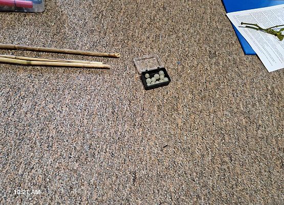 Grafika 9: Nasi uczniowie wzięli udział w przyrodniczych warsztatach edukacyjnych w Bibliotece Gminnej w Wicku