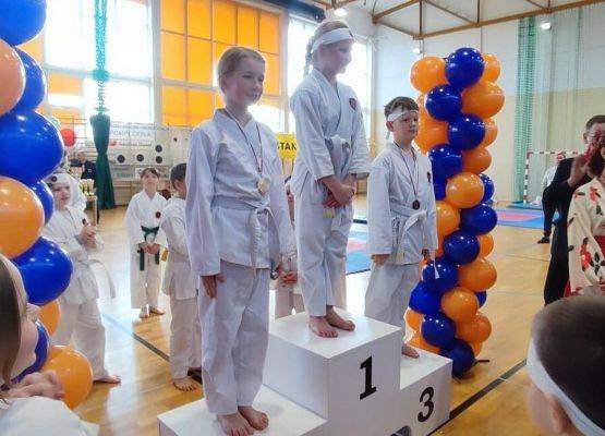 Grafika 7: Sukcesy naszych karateków w VIII Ogólnopolskich Zawodach Karate Goju Ryu w Gdyni