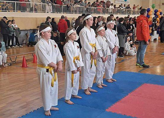 Grafika 10: Sukcesy naszych karateków w VIII Ogólnopolskich Zawodach Karate Goju Ryu w Gdyni
