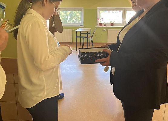 Grafika 15: Rozpoczęły się egzaminy ósmoklasistów 14 - 15 - 16 maja 2024