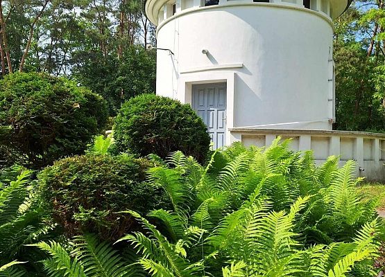 Grafika 18: Majowa wycieczka klas szóstych do Torunia