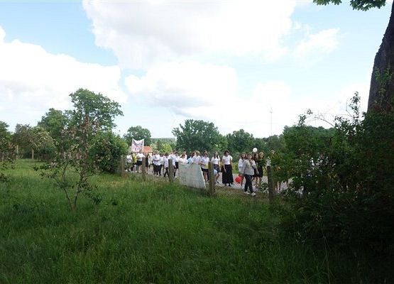 Grafika 70: Obchody Dnia Patrona w szkole w Wicku, 29 maja 2024