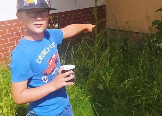 Grafika 15: Obchody Dnia Pustej Klasy w szkole w Wicku