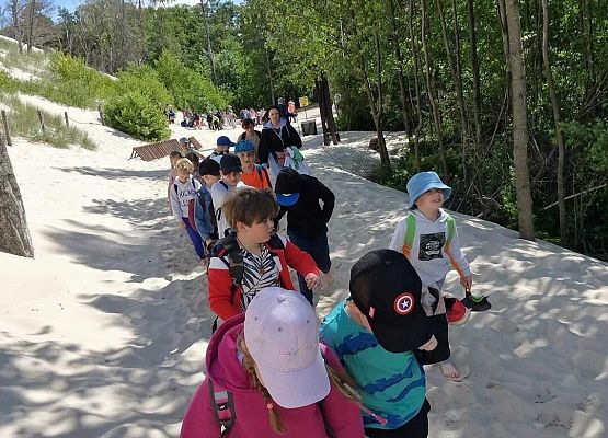 Grafika 2: Wycieczka do Rąbki i na wydmy ruchome klasy IB