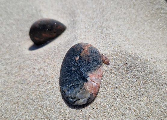 Grafika 6: Wycieczka do Rąbki i na wydmy ruchome klasy IB