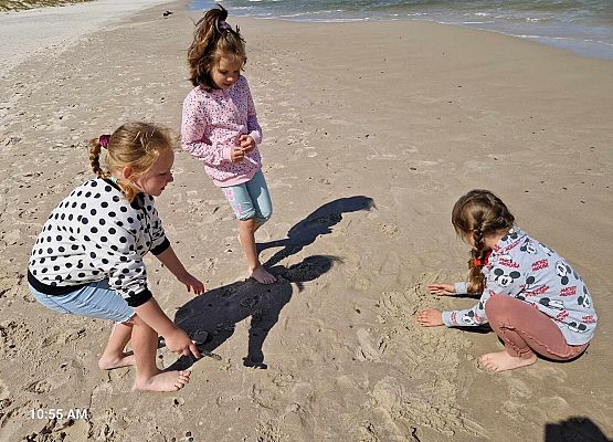 Grafika 18: Wycieczka do Rąbki i na wydmy ruchome klasy IB