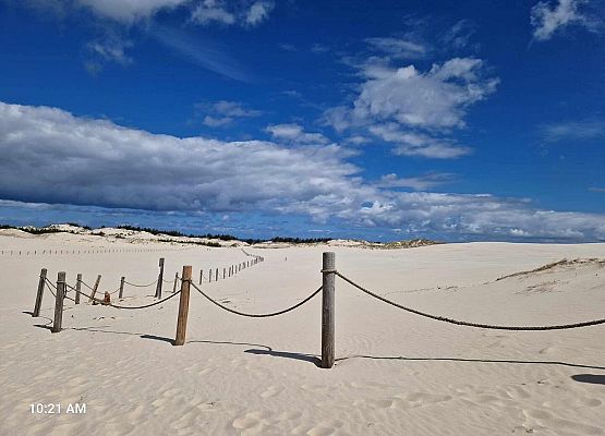 Grafika 21: Wycieczka do Rąbki i na wydmy ruchome klasy IB