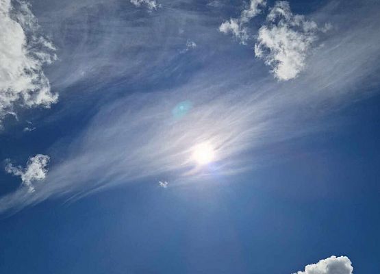 Grafika 37: Wycieczka do Rąbki i na wydmy ruchome klasy IB