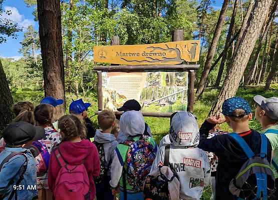 Grafika 70: Wycieczka do Rąbki i na wydmy ruchome klasy IB