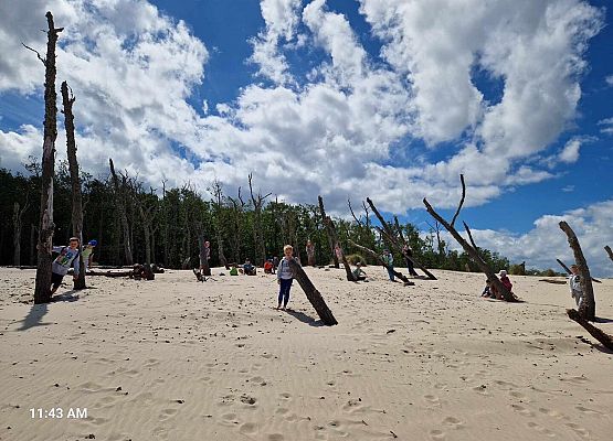 Grafika 74: Wycieczka do Rąbki i na wydmy ruchome klasy IB