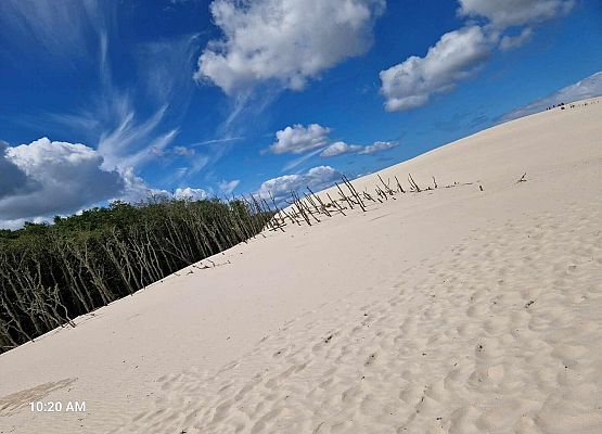 Grafika 80: Wycieczka do Rąbki i na wydmy ruchome klasy IB