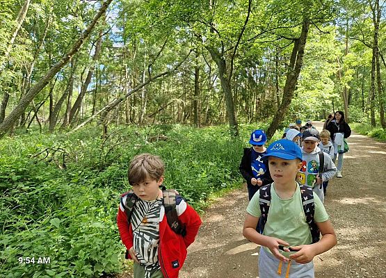 Grafika 84: Wycieczka do Rąbki i na wydmy ruchome klasy IB