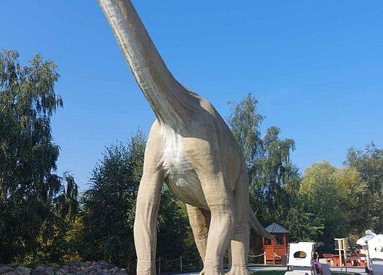 Grafika 32: Biwak kl. VA z lekcją geografii w tle