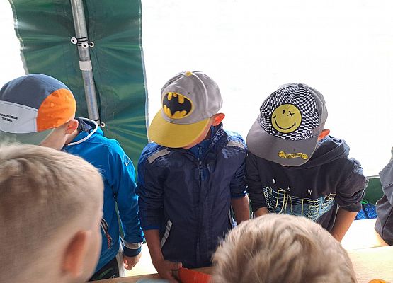 Grafika 1: Wyprawa IIA do Farmy Alexa