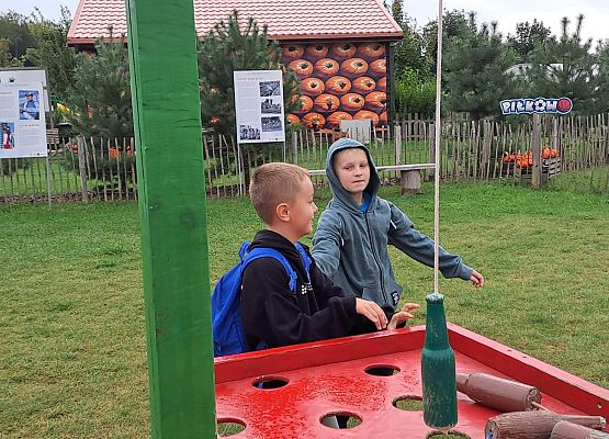 Grafika 3: Wyprawa IIA do Farmy Alexa