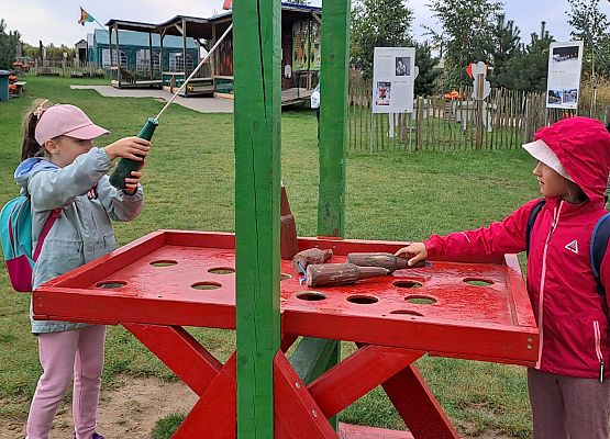 Grafika 5: Wyprawa IIA do Farmy Alexa